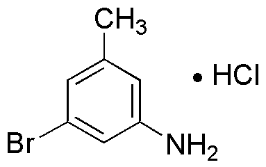 Chlorhydrate de 3-bromo-5-méthylaniline