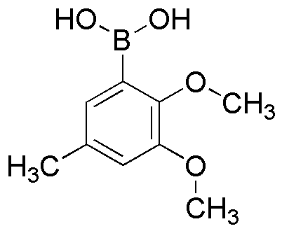 (2,3-Dimethoxy-5-methylphenyl)boronic acid