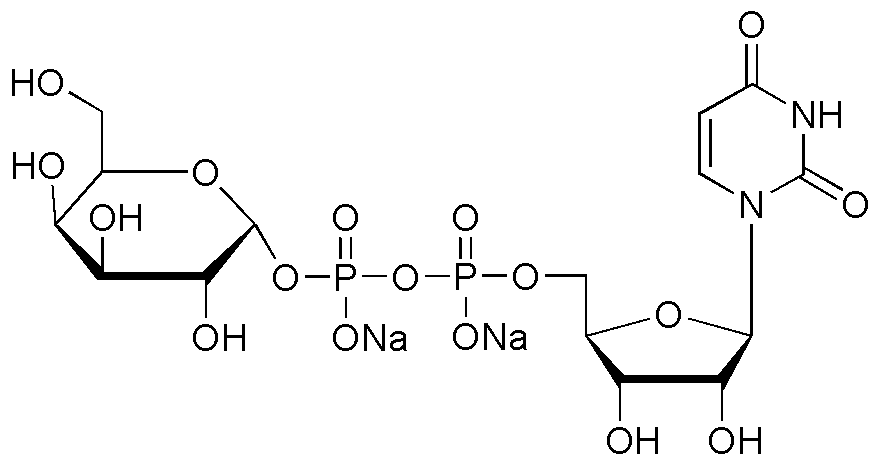 Sel disodique de l'uridine 5'-diphosphogalactose