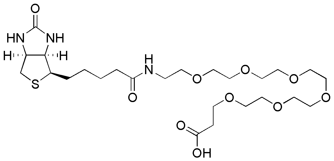 21-[D(+)-Biotinylamino]-4,7,10,13,16,19-hexaoxaheneicosanoic acid