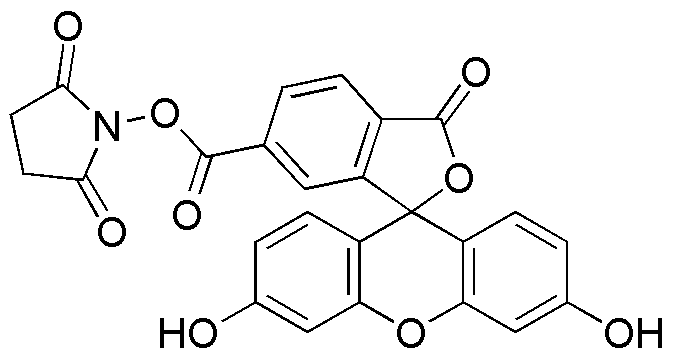 Éster N-succinimidilo de 6-carboxifluoresceína