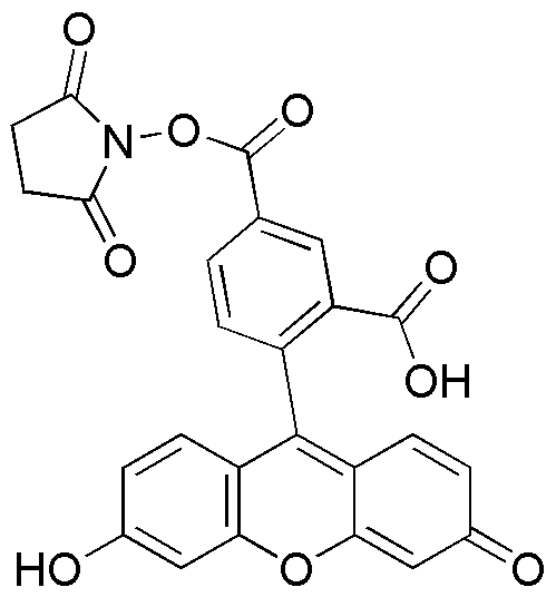 Ester N-succinimidylique de 5-carboxyfluorescéine