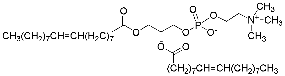 1,2-Dioléoyl-sn-glycéro-3-phosphocholine