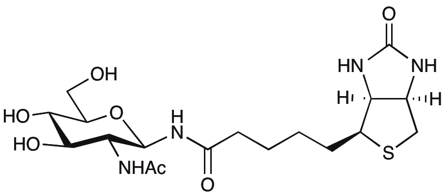 N-GlcNAc-biotina