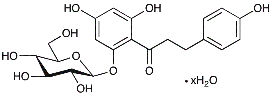 Phlorizine