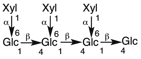 Heptasacárido Glc4Xyl3