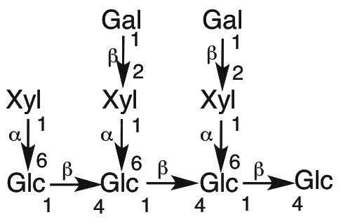 Nonasaccharide Glc4Xyl3Gal2