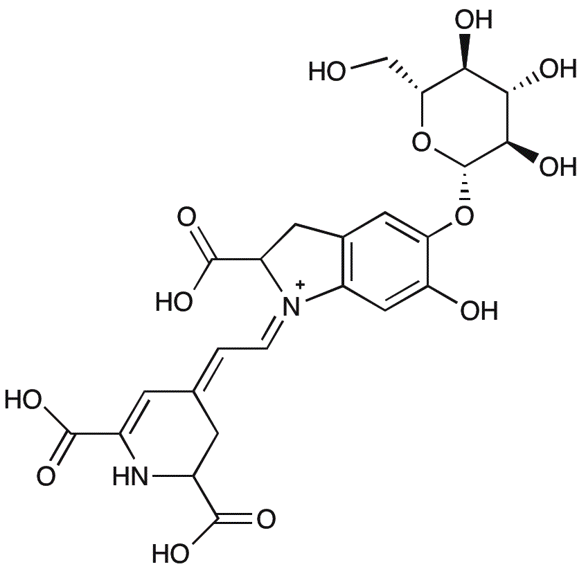 Betanin (red beet extract diluted with Dextrin)