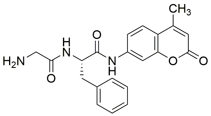 H-Gli-Fe-AMC