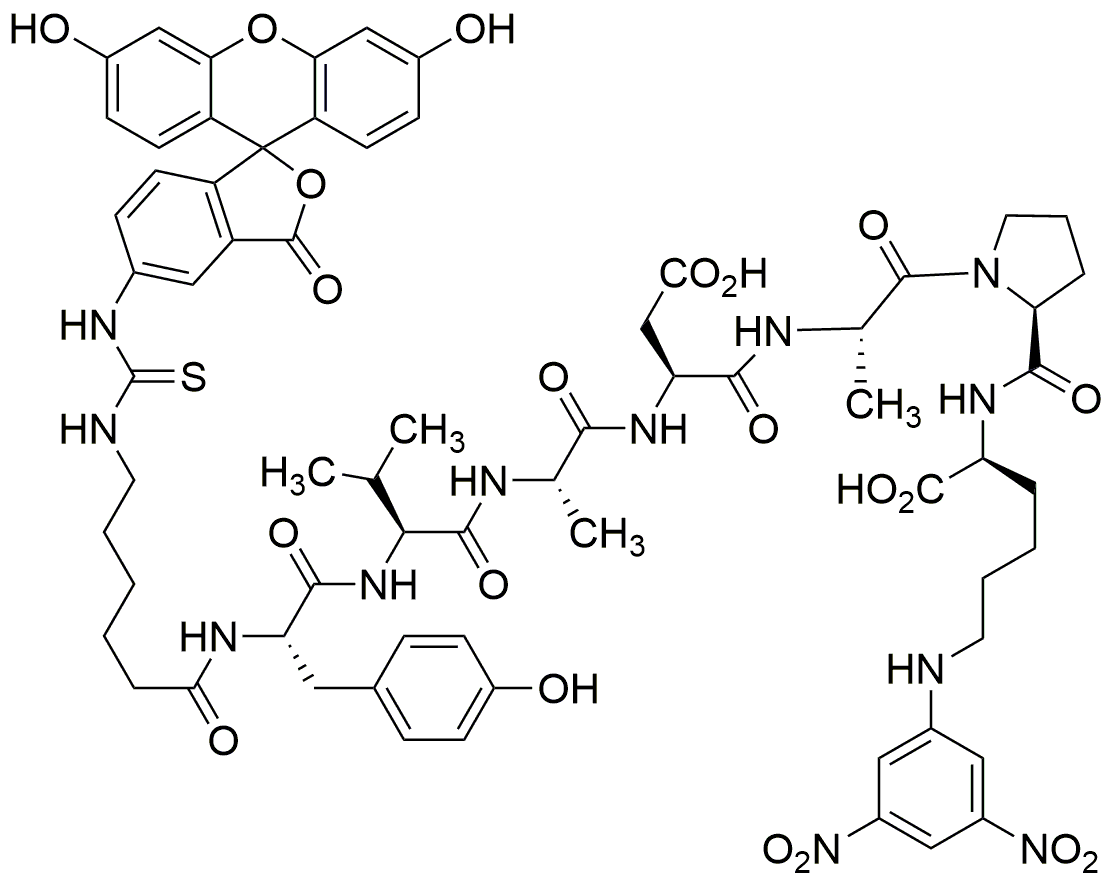 FITC-Tyr-Val-Ala-Asp-Ala-Pro-Lys(Dnp)-OH (contient l'isomère I de FITC) · Sel de TFA