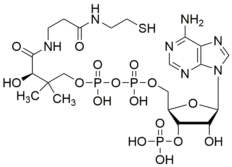 Coenzyme A, acide libre, qualité réactive