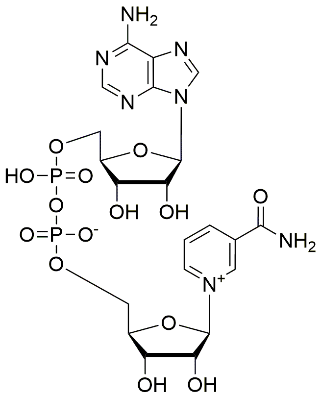 β-Nicotinamide adenine dinucleotide, free acid