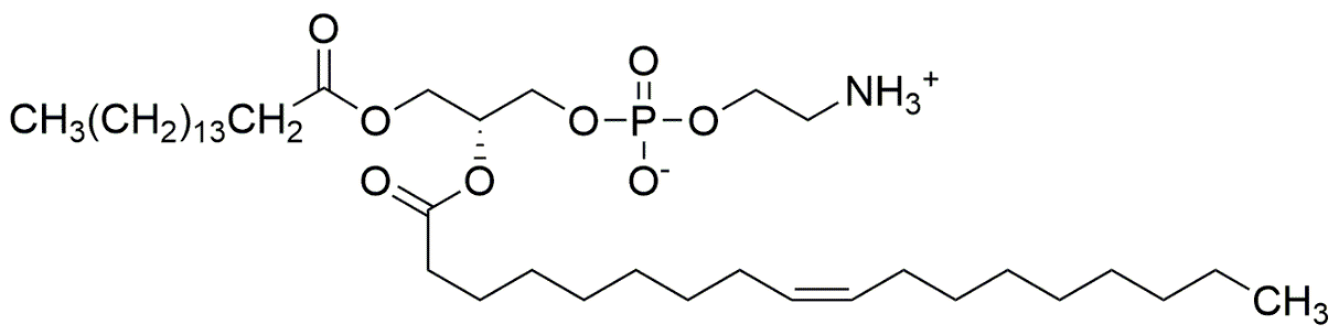 1-Palmitoil-3-oleoil-sn-glicero-2-fosfoetanolamina