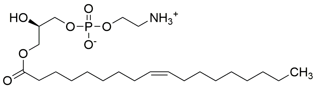 1-Oleoyl-2-hydroxy-sn-Glycero-3-phosphatidylethanolamine