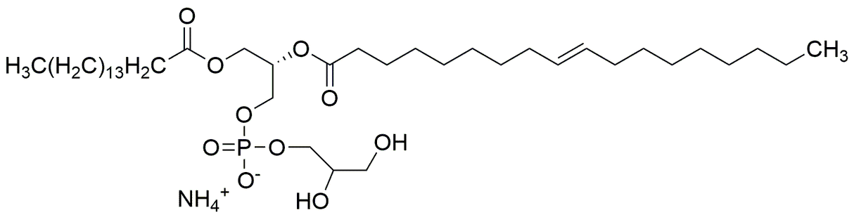 2-Oleoyl-1-palmitoyl-sn-glycero-3-phospho-rac-(1-glycerol) ammonium salt