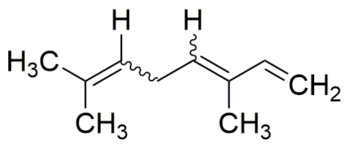 Ocimène