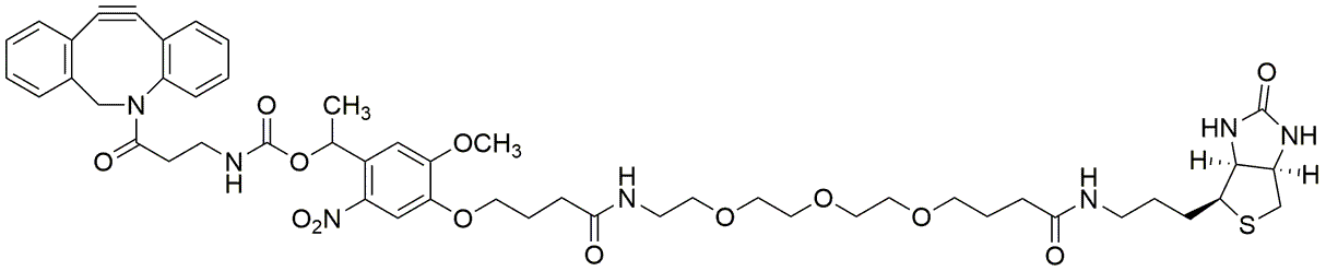 PC DBCO biotina