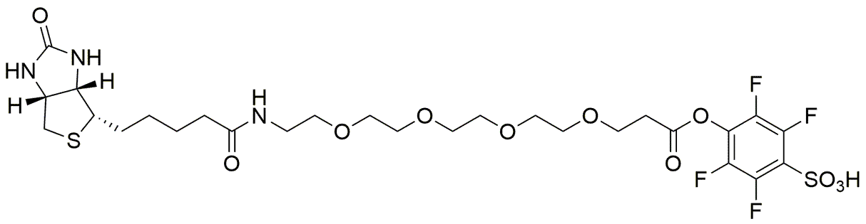 Biotin-PEG4-STP ester