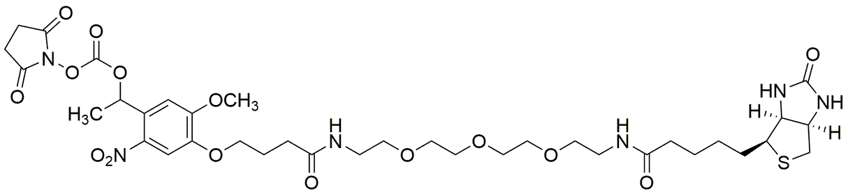 PC biotin-NHS ester