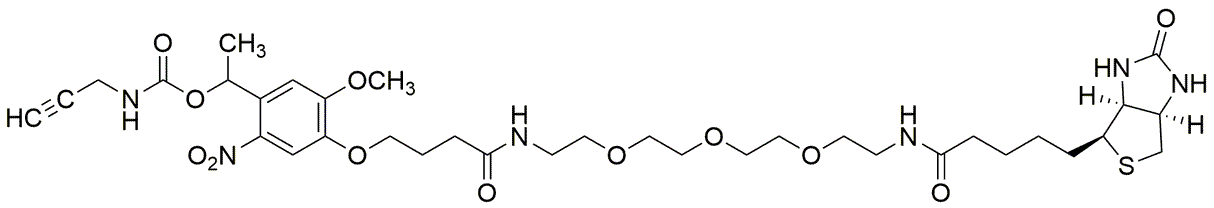 PC biotine alcyne