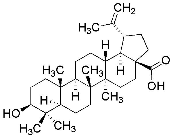 Acide bétulinique