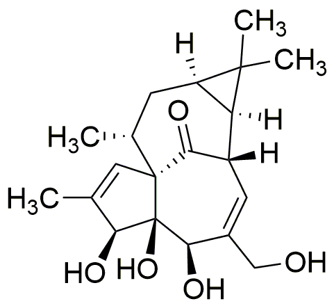 Ingénol