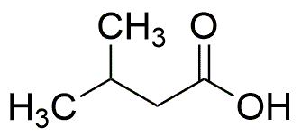 Acide isovalérique