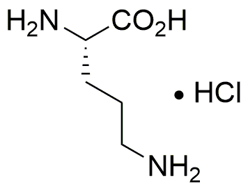 Monochlorhydrate de L-ornithine, d'origine non animale, adapté à la culture cellulaire