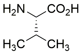 L-Valine, d'origine non animale