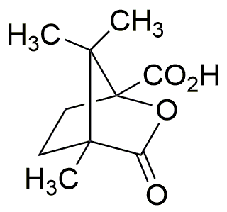 Acide (-)-camphanique