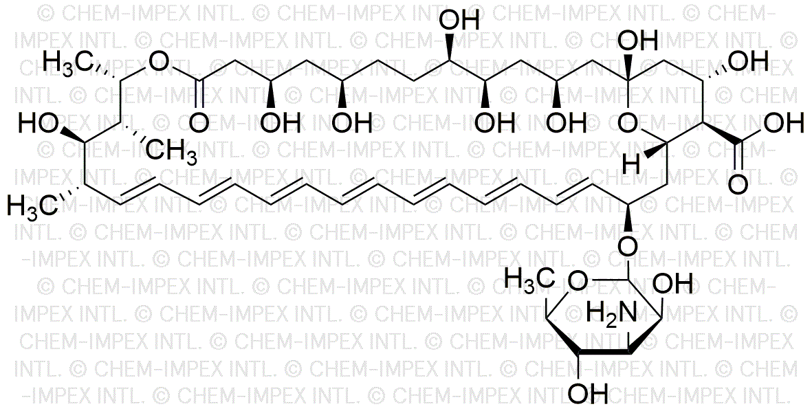 Anfotericina B de especies de Streptomyces