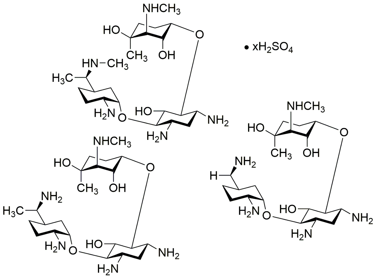 Poudre de sel de sulfate de gentamicine