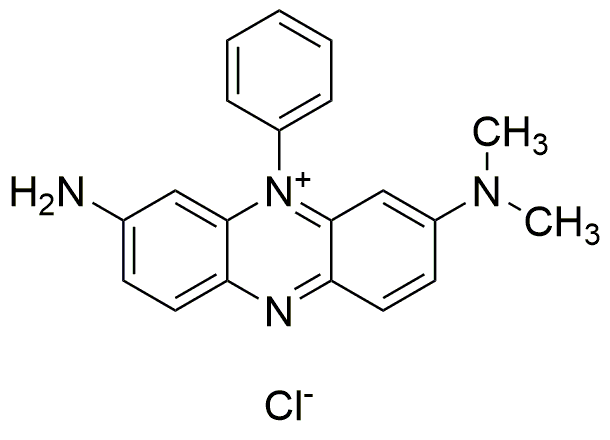 Violet basique 8