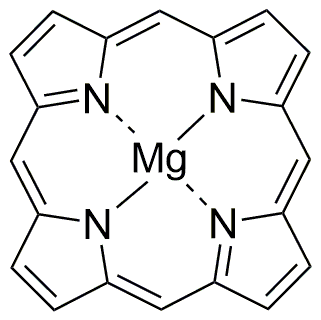 Magnesium porphyrin