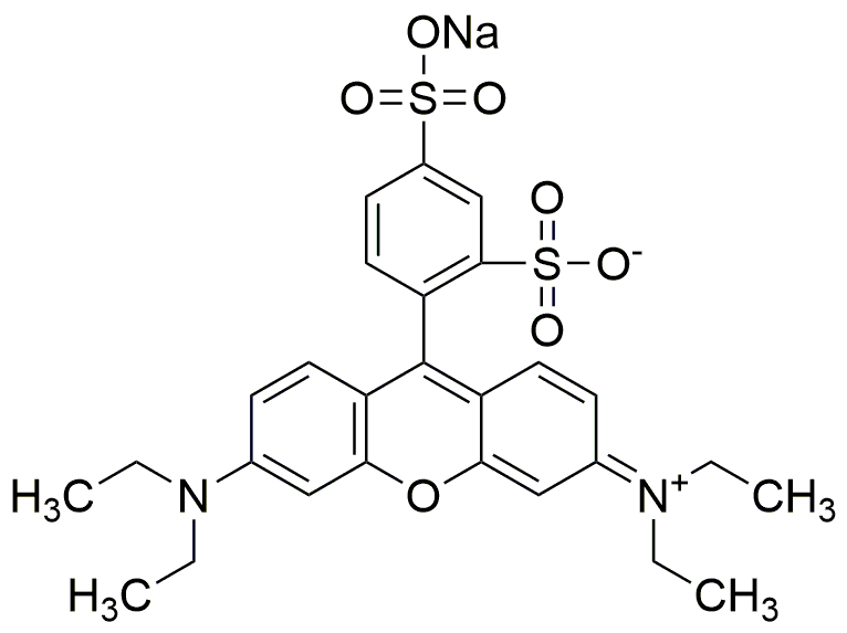 Sulforhodamine B sel de sodium