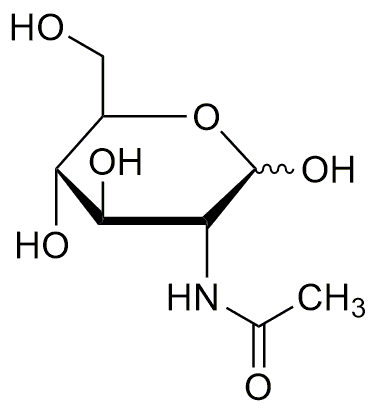 N-Acétyl-D-glucosamine