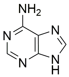 Adenine