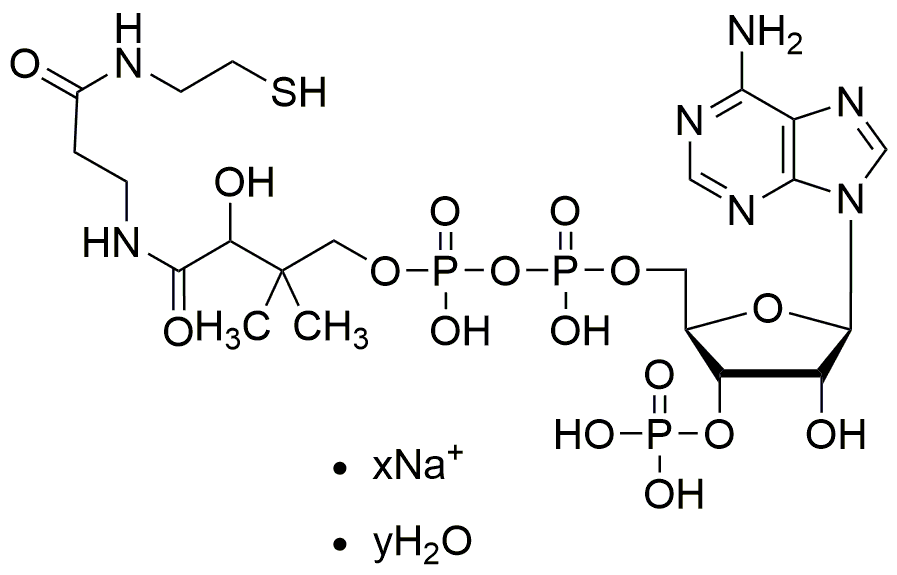 Coenzyme A sodium salt hydrate