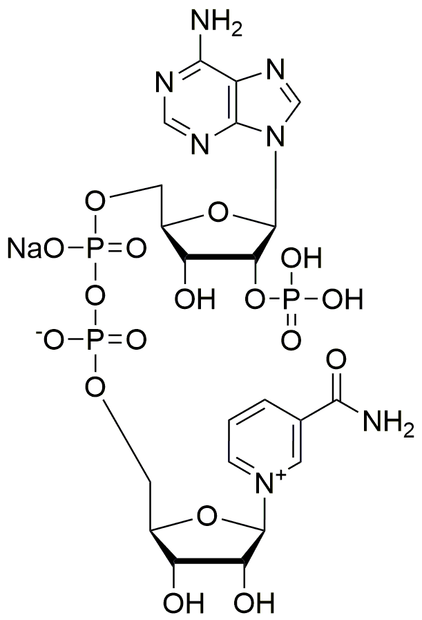 Sal sódica del fosfato de dinucleótido de b-nicotinamida y adenina