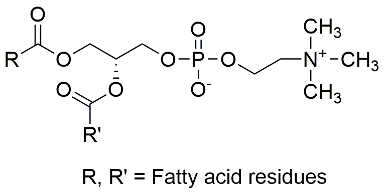 L-α-Phosphatidylcholine solution