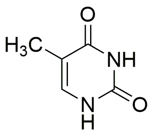 Thymine