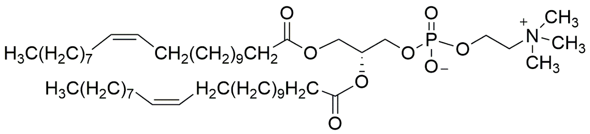 1,2-Dierucoyl-sn-glycero-3-phosphocholine