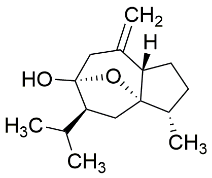 Curcumo