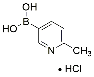 2-Methylpyridine-5-boronic acid hydrochloride