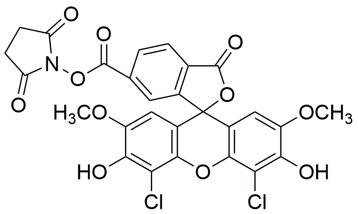 6-Carboxy-4',5'-dichloro-2',7'-dimethoxyfluorescein N-hydroxysuccinimide ester