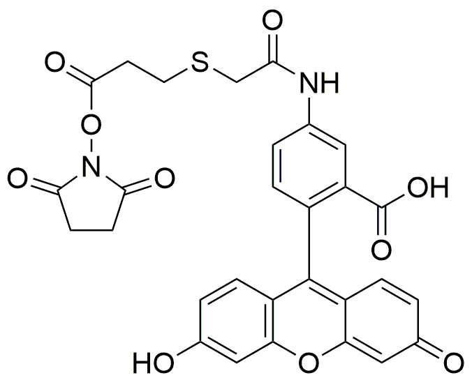 Éster de N-hidroxisuccinimida de fluoresceína-5-EX