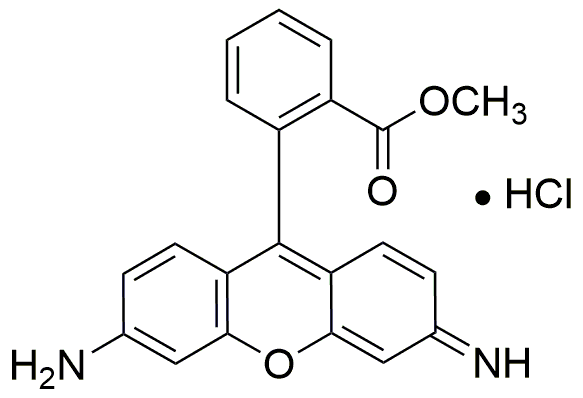 Rhodamine 123