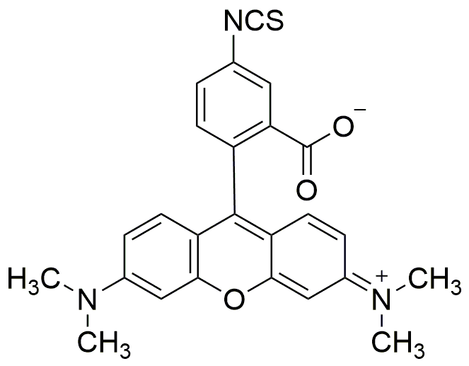 Tetrametilrodamina-5-isotiocianato