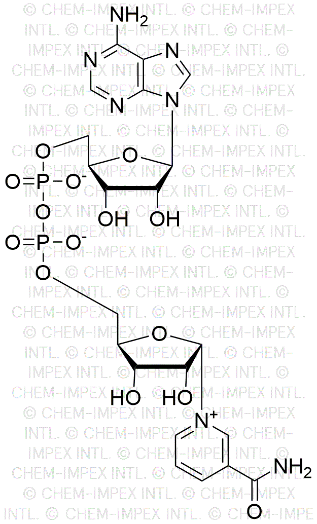 a-Nicotinamide adenine dinucleotide from&nbsp;Saccharomyces cerevisiae