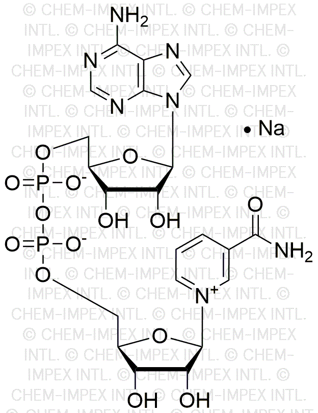 Sal sódica del dinucleótido de b-nicotinamida y adenina